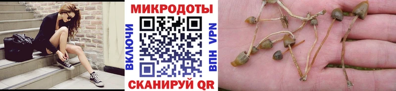 блэк спрут ссылки  Острогожск  Галлюциногенные грибы GOLDEN TEACHER  где найти наркотики 