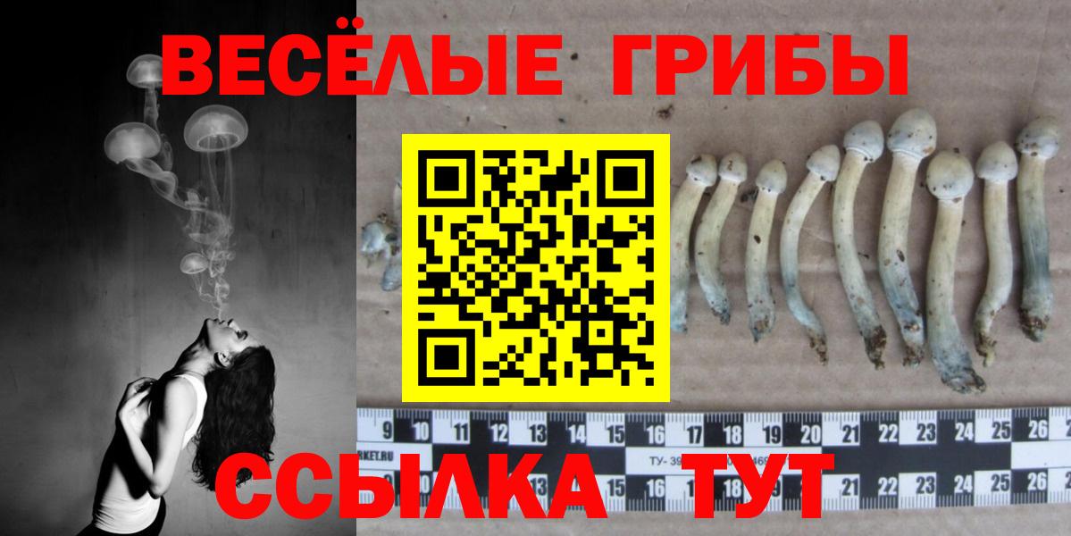 Псилоцибиновые грибы Psilocybe  Вход с VPN  где найти наркотики  Острогожск  Псилоцибиновые грибы мицелий 